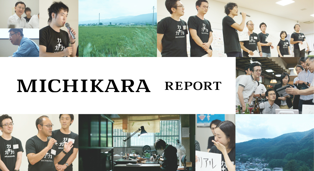 MICHIKARA REPORT